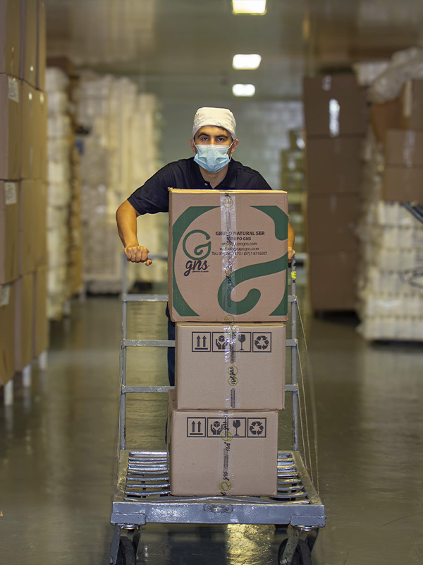 Desarrollo de Producto GNS